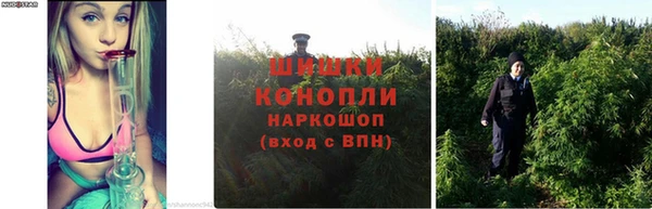 экстази Няндома