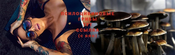 экстази Няндома