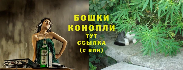 экстази Няндома