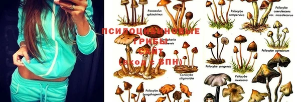 кристаллы Нягань